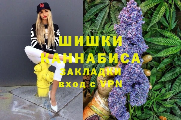хмурый Бородино
