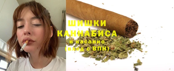 хмурый Бородино