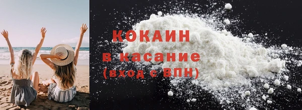 твердый Бронницы