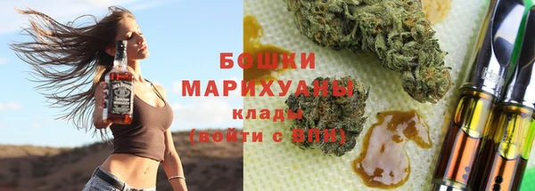 хмурый Бородино