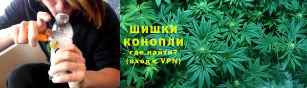 хмурый Бородино